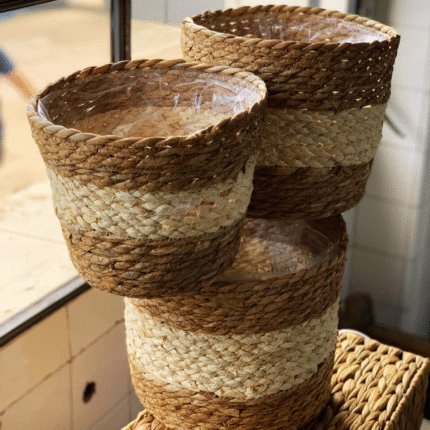 Maceta Selva Duo - Imagen 5