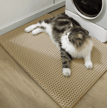 Alfombra Sanitaria - Gatos - Imagen 7