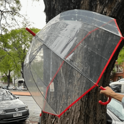 Paraguas de Pvc - Varios colores - Imagen 3