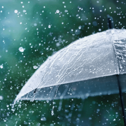 Paraguas de Pvc - Varios colores - Imagen 6