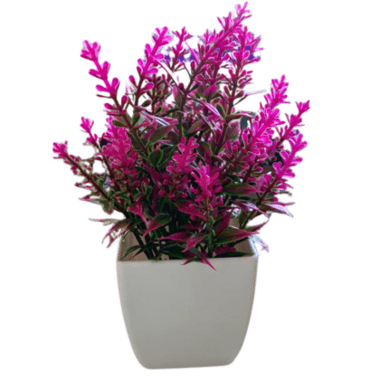 Tuna Plástica - Imagen 7