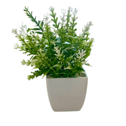 Tuna Plástica - Imagen 8