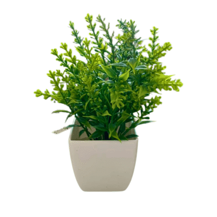 Tuna Plástica - Imagen 9